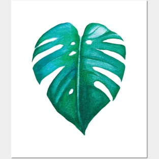 watercolor monstera leaf Posters and Art